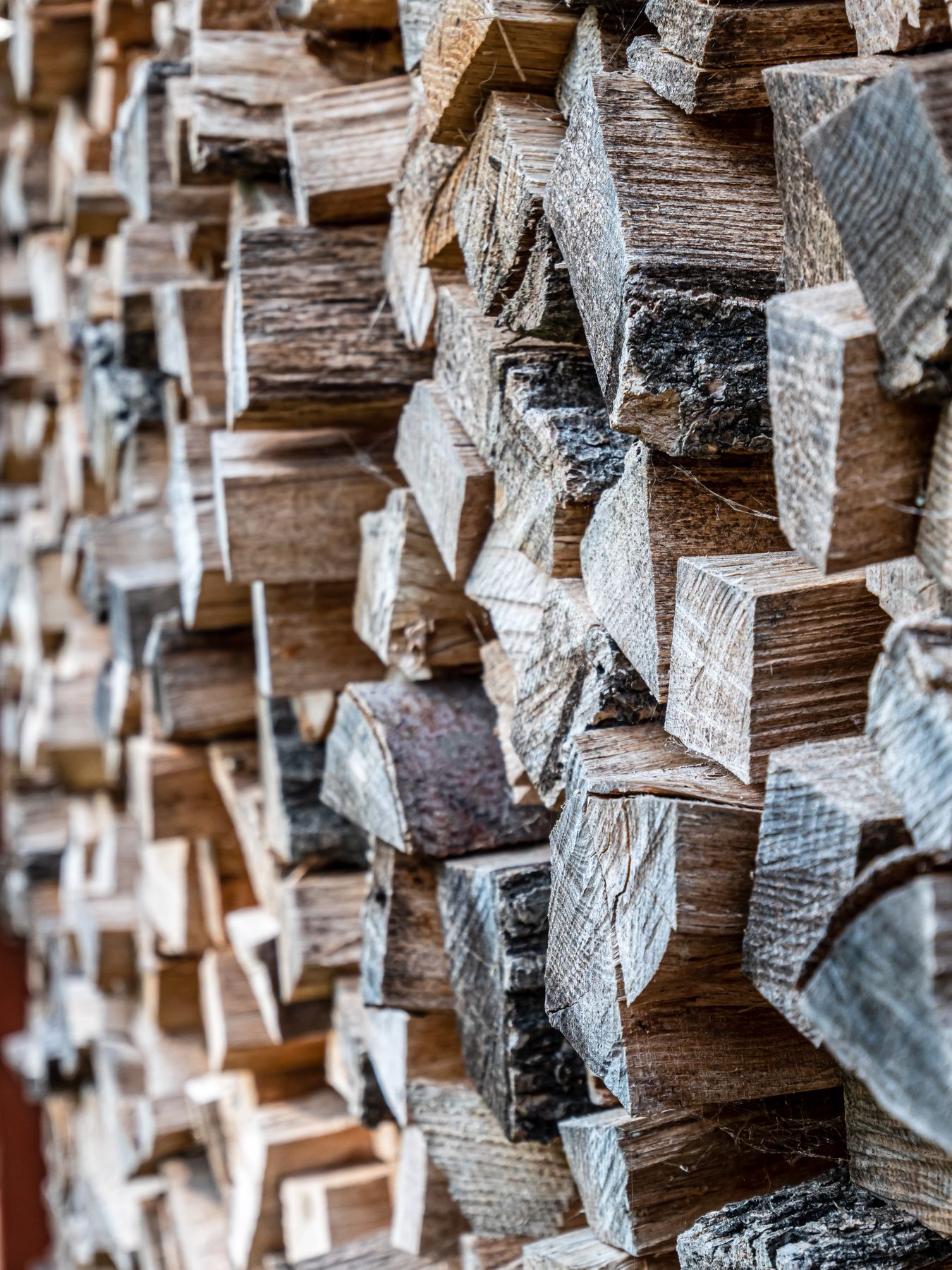 Neatly stacked seasoned firewood